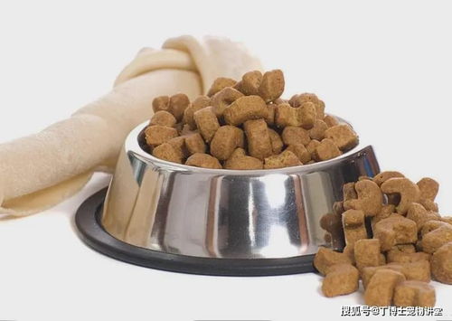 宠物食品中的蛋白质 消费者最关心的5大问题解析