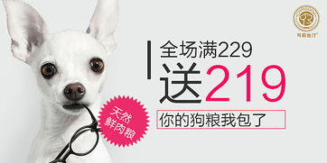 宠物食品 为毛茸茸伙伴挑选健康营养的美味盛宴