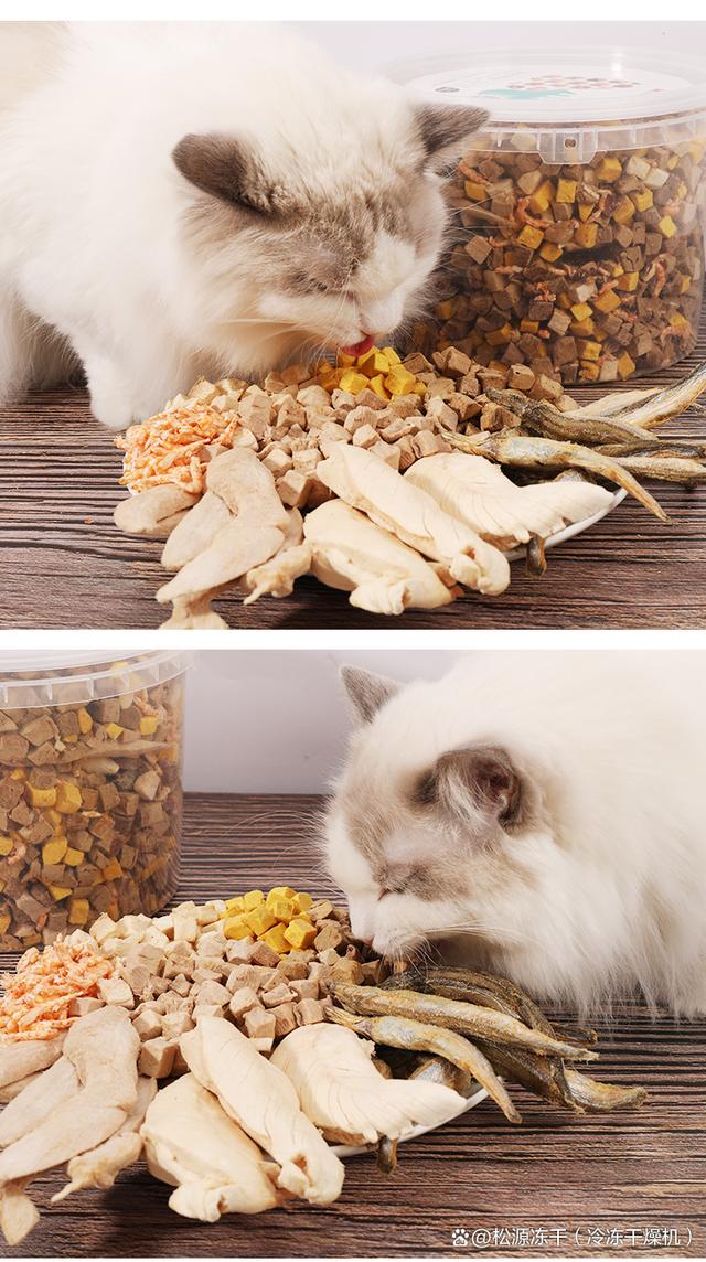 冻干宠物食品 保留天然营养的现代喂养选择